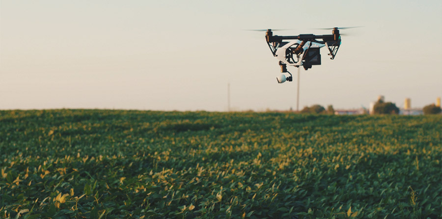 Agricultural aerial imagery annotation